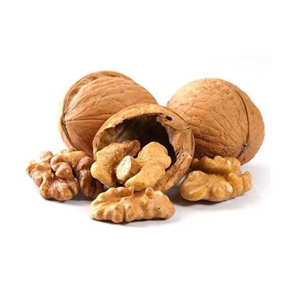 Walnuts In-shell (Whole) (5 LB)