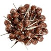 Caramel Lollipops 60 Pack by Rebel Smuggling Galactic Emporium