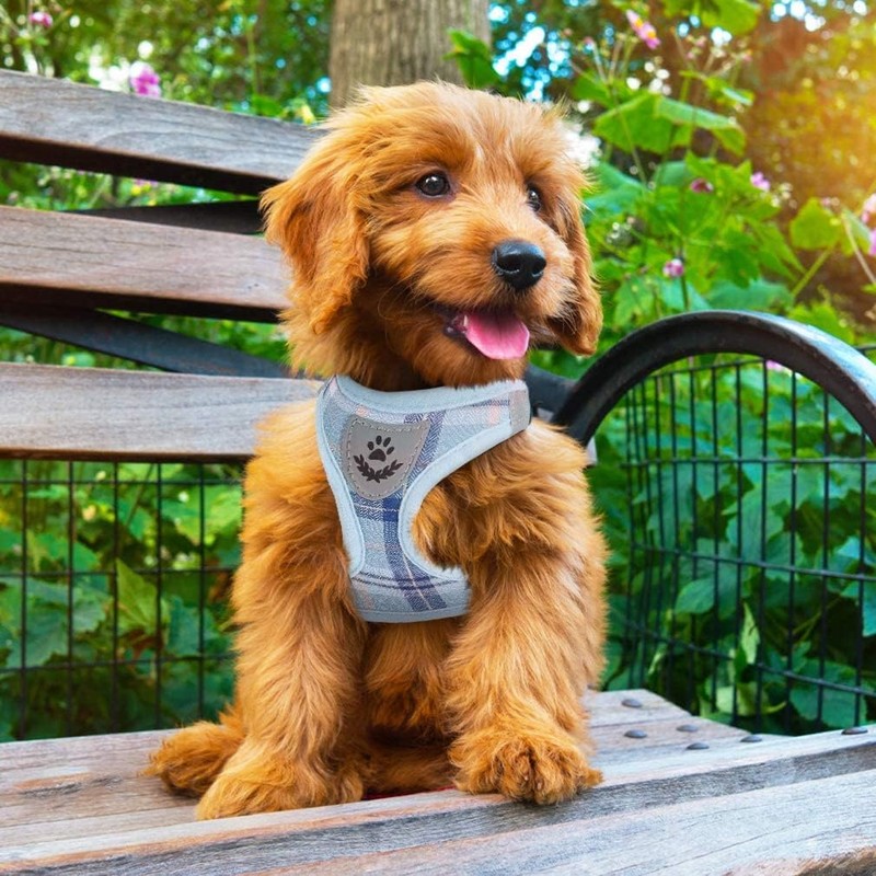 PUPTECK Adjustable Dog Harness Collar and Leash Set Step in