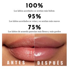 Phofay Labial Líquido Brillante Color Indeleble Duración 4ml                                                                                          