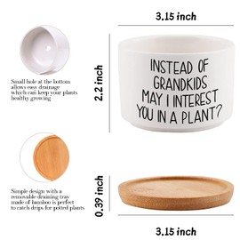 Gifts for Mom from Daughter Son, Funny Unique Mothers Day Christmas Birthday Thanksgiving Mom Gifts, 3.15 Inch Ceramic Succulent Plant Pot Small Flower Planter with Drainage Tray -Plants Not Included