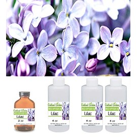 (L) Lilac Reed Sticks & Diffuser Oil by OG - Intense Spring Scent of Lilac in a Bottle ~!! (16 oz (480 ml))
