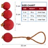 Dog Ball with String, Pack of 2 Throwing Balls with