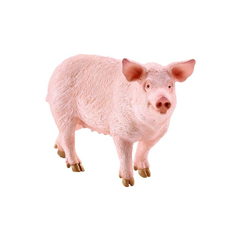 Schmidt CGS_56404 The Farmers' Market (100 Pieces) Including Puzzle, Multi-Coloured