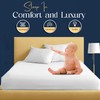 Sunshine Comforts Egyptian Cotton 4FT Fitted Sheets Breathable, Anti Wrinkle