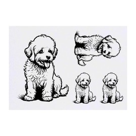 4 x 'Cavapoo Dog Sitting' Temporary Tattoos - Water Resistant, Skin-Safe, Non-Toxic Transfers, Mixed Sizes (TO00071318)