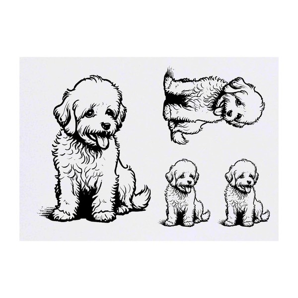 4 x 'Cavapoo Dog Sitting' Temporary Tattoos - Water Resistant,