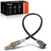 Lambda Sensor Control Probe for S II 2URGSE LS 1URFE