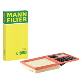 Filtro Aire Mann Filter C3880