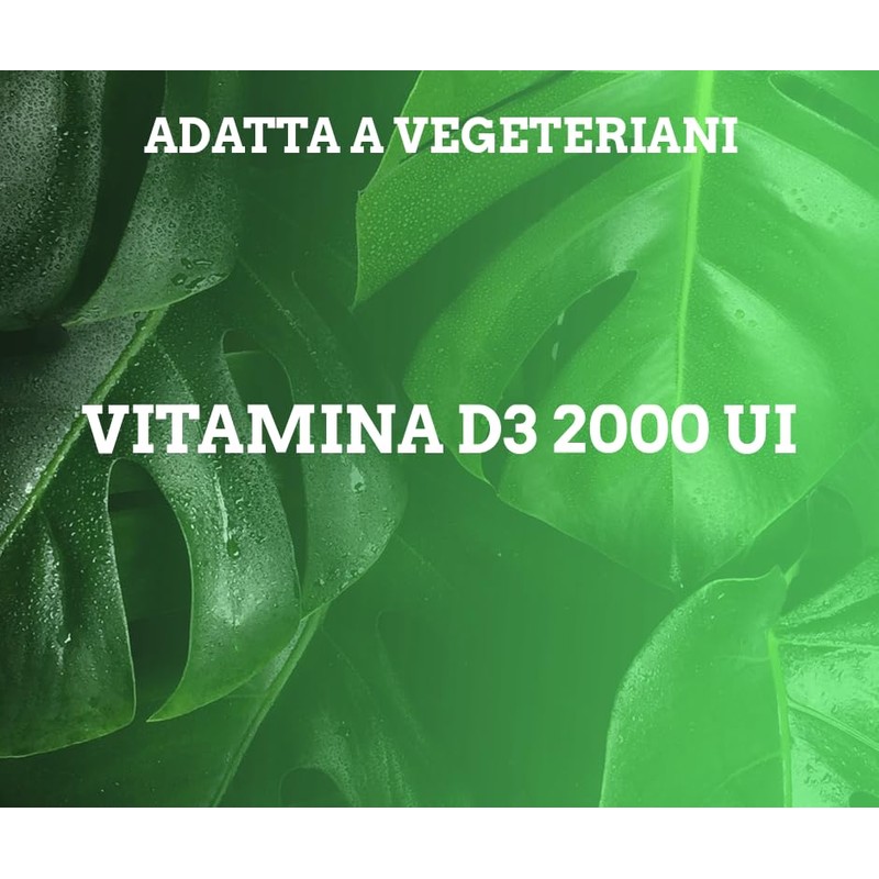 INTEGRATOR VIT D3 - Vitamina D 2000 UI da Lichene