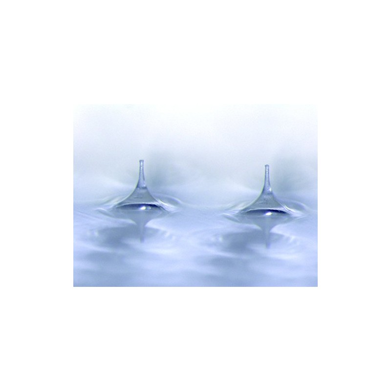 quanis kuonisu da-mafira- with 8 Set (Left, Right, 2 X 8 Set)