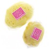 Baby Silk Sponge Bath Sponge Kosmetex High-Quality Natural Sponge Levantiner