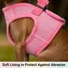 Mr. Peanut's PupTrek Small Dog/Cat Soft Mesh Step in Harness