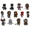 Funko Mystery Mini DC Justice League Movie Toy