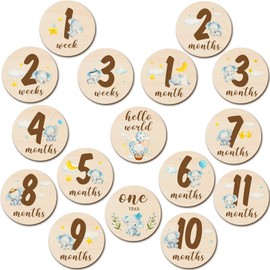 16 Pieces Wooden Baby Monthly Milestone Cards Baby Monthly Milestone Marker Discs Double Sided Monthly Milestone Wooden Circles Baby Months Signs for Baby Shower Newborn Photo Props(Blue Elephant)