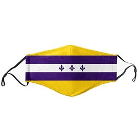 NOLA Flag Mask - Face Accessory - Fan Gear - City Style - New Orleans