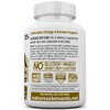Natures Elements Chaga Mushroom for Immune Support - 10:1 Extract