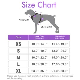 rabbitgoo Dog Harness, No-Pull Pet Harness with 2 Leash Clips, Adjustable Soft Padded Dog Vest, Reflective No-Choke Pet Oxford Vest with Easy Control Handle for Large Dogs, Purple, L