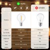 KGC Plastic C7/G40 Replacement LED Light Bulbs - 0.6W Equivalent