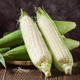 Southeast Seeds Boone County White Dent Sweet Corn Seeds, White Sweet Corn, Heirloom, FREE SHIP - 40 Seeds or 1/2 OZ