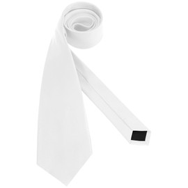 Puistr Men's Ties Solid Pure Color 3.15" (8CM) Necktie Plain Formal White Ties For Men