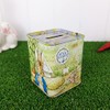 Crafty Capers Peter Rabbit Tin Money Box | Piggy Bank