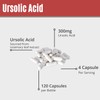 MAAC10 Ursolic Acid 300mg - Sourced from Rosemary Extract, AMPK