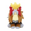 Pokemon Center Original Plush Pokémon Fit Entei