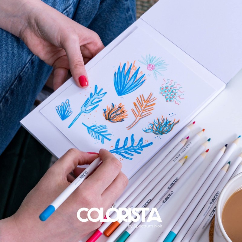 Spectrum Noir Colorista Coloured Pencils-Pack of 12-Bright & Vivid, Multicolour,
