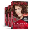 REVLON Colorsilk Color Permanent Hair Dye, 46 Medium Golden Chestnut,