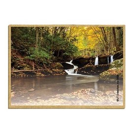 Wildlife Photography Magnet Series – Small Waterfall Creek Rustic Nature Photography Magnets for Fridge, Office, Cooler, Cabin Decor 2.5 x 3.5 inch (SJT09588)