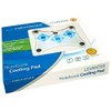 Esperanza EA107 - 5905784768021 - ESPERANZA Stand Cooling pod Notebook