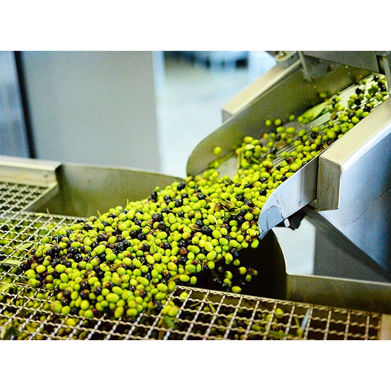 Kouzini Athena Bundle - Greek Extra Virgin Olive Oil |