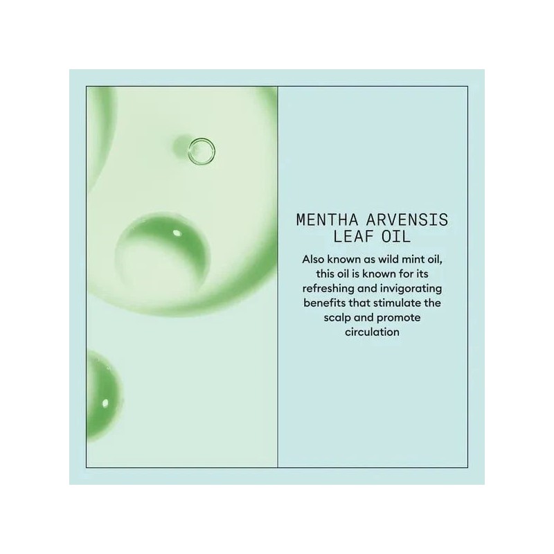 Nioxin Scalp Recovery System Purifying Shampoo 1L