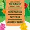 Black Forest USDA Organic Gummy Bears - 65 Pouches -