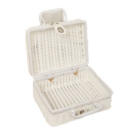 Woven Picnic Box Plastic Rattan Odorless Retro Woven Storage Box with Ring Shaped Handle for Outdoor White M