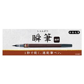 Pilot SVSG80FDMB Brush Pen, Quick Drying, Professional Bristle Brush, Pigment, Medium Point, Black