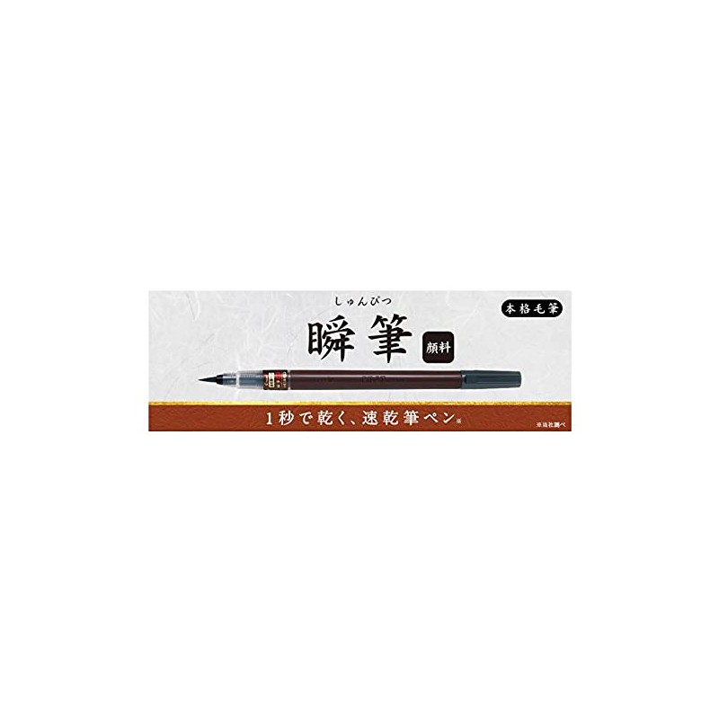 Pilot SVSG80FDMB Brush Pen, Quick Drying, Professional Bristle Brush, Pigment,