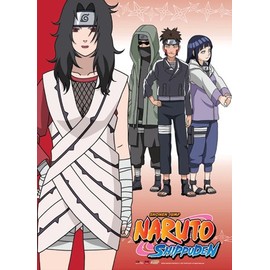 Great Eastern Entertainment Naruto Shippuden Team Kurenai Wall Scroll, 33 by 44-Inch