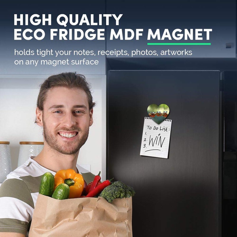 1 x Heart MDF Magnets - Tree Frogs Java Flying