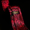 ROBERTO GABBANI Red and Black Paisley Tie Set for Men,