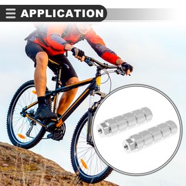 Motoforti Universal Bicycle Rear Foot Pegs Footrest, Silver Tone, 1 Pair