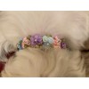 Dressed to the Canines Flower rhinestone Luxury Dog Collar Pink