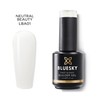 BLUESKY Fast & Easy Builder Gel, Easy and Time-Saving Nail