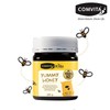 Comvita 키즈허니 250G Kids Honey 250G