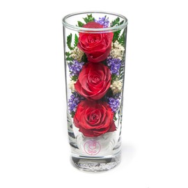 In Flores Veritas | Fresh Cut Preserved Roses in a Sealed Glass Vase | Long Lasting Bouquet Stays Fresh for 5+ Years | No Water Needed | Allergy Free | Unique Present Gift (Grace Red)