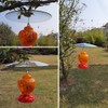 13" Glass Rain Cover for Bird Feeder Outdoors - Baffle