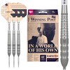 Target Darts Raymond Van Barneveld RVB 25 Year Edition 21G