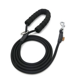 Aiminto Dog Leash, Braided Rope Traction – Walking Training Lead for Small/Medium Dogs ((1/3") - 6FT, Black)