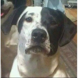 Geneva SALE.  SALE.  SALE SALE. Fashion Digital Fancy GENEVA Womans Watch  WAS $13.00